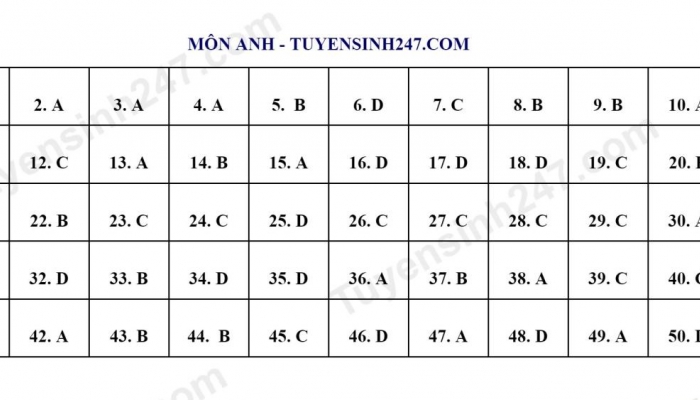 Comment On The Questions And Answers Of The English Reference Exam For