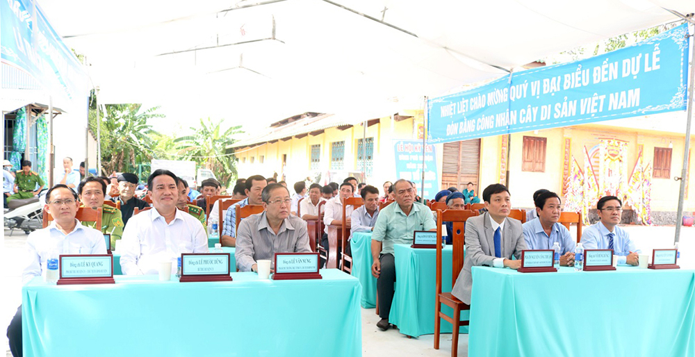 Banyan tree and Dau rai tree in Vinh Thanh commune are recognized as ...