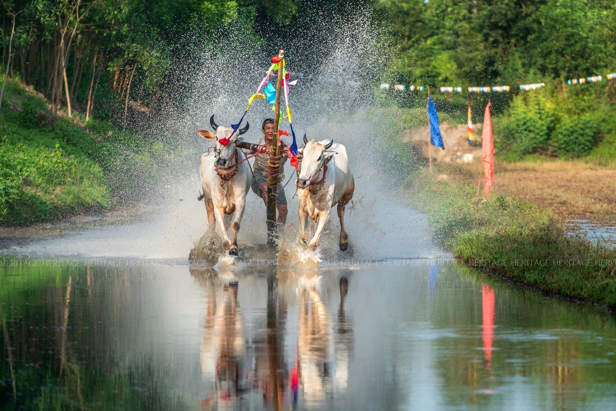 Không có mô tả ảnh.