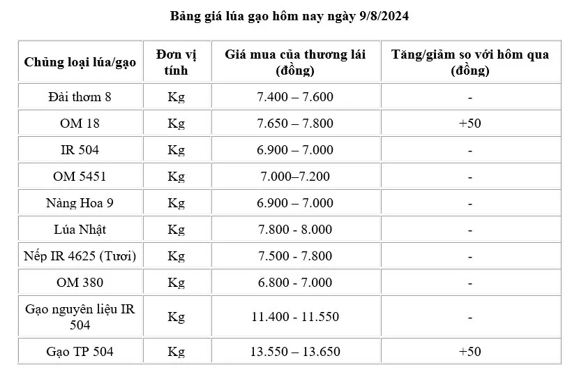 Giá lúa gạo hôm nay ngày 9/8/2024: Giá gạo tăng 50 đồng/kg, giá lúa tăng nhẹ