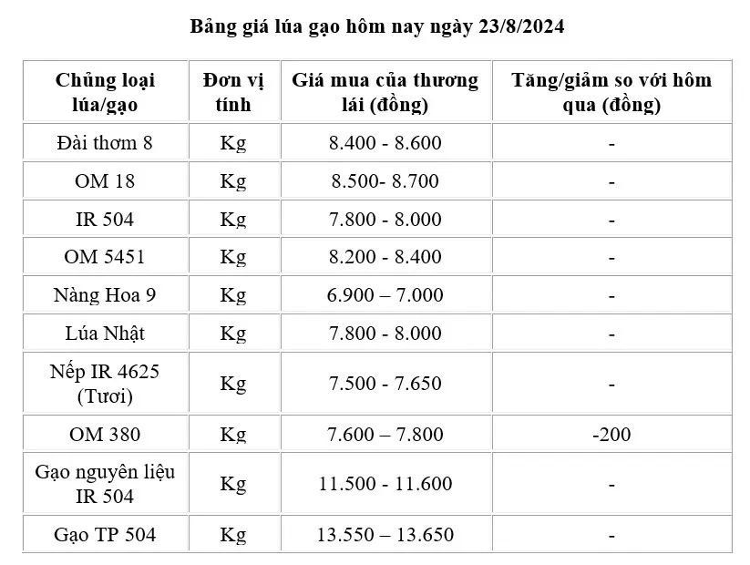 Giá lúa gạo hôm nay 23/8/2024: Giá lúa giảm 200 đồng/kg; gạo xuất khẩu tăng