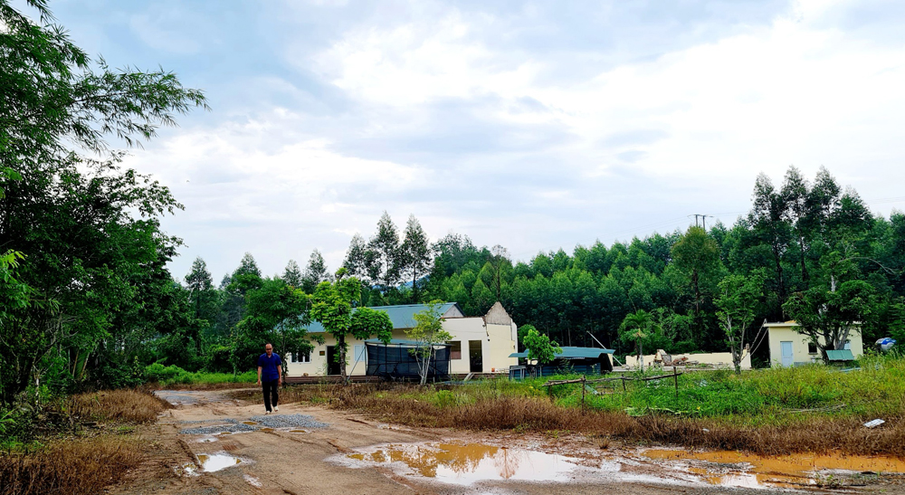 Bắc Giang, Công ty TNHH Sản xuất Dương Linh, đầu tư, doanh nghiệp.