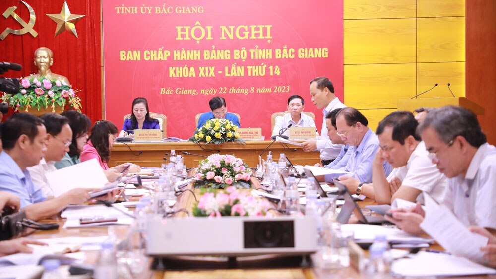 Bắc Giang, Tỉnh ủy, thường kỳ, đô thị, lao động, nghề nghiệp.