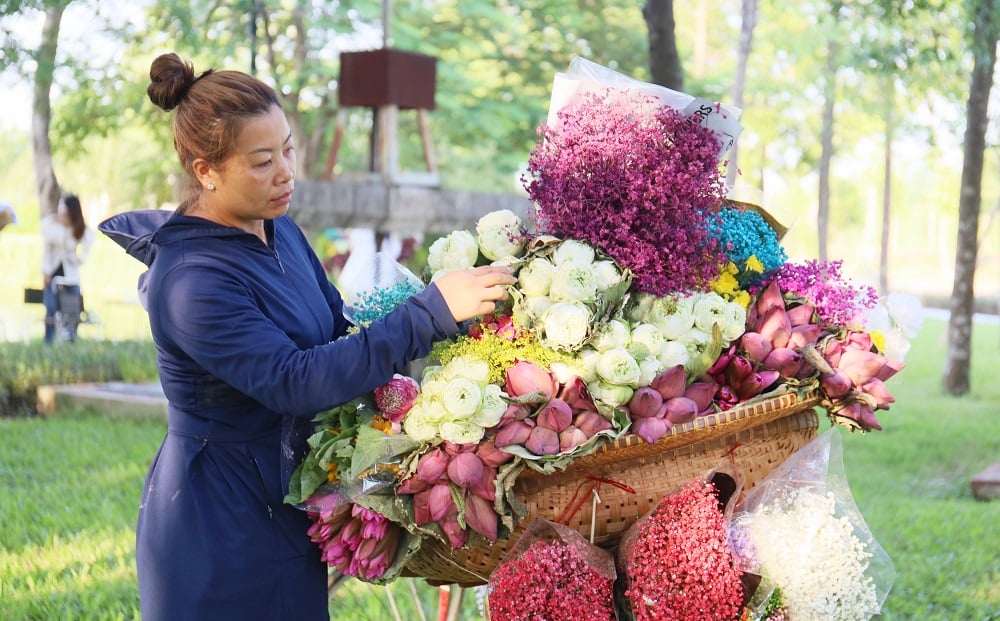 tin tức bắc giang, giới trẻ, bắt kịp xu hướng, thu hà nội, chụp ảnh mùa thu