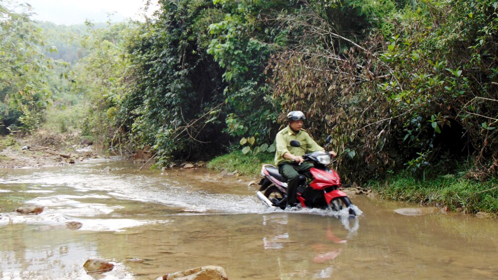 Tin tức Bắc Giang, lực lượng bảo vệ rừng, Cán bộ kiểm lâm, xin nghỉ việc, nghỉ hưu trước tuổi, Hạt Kiểm lâm, chính sách mới,  Chi cục Kiểm lâm, chính sách đãi ngộ, tỷ lệ che phủ rừng