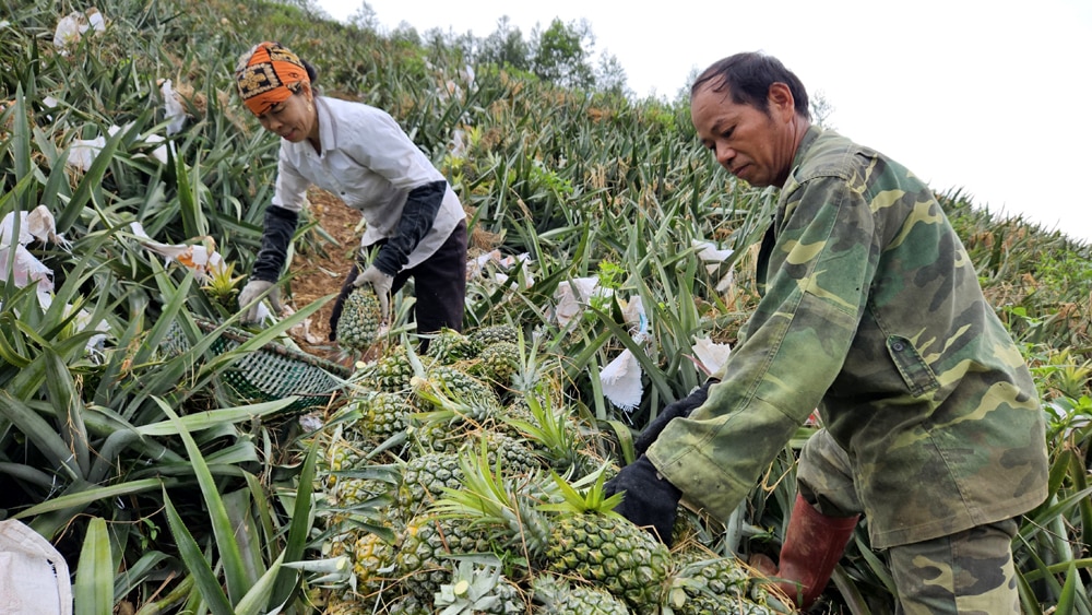 tin tức bắc giang, đề án, hỗ trợ phụ nữ khởi nghiệp, hội viên phụ nữ làm giàu, ý tưởng khởi nghiệp, kiến thức kinh doanh, ý tưởng kinh doanh,  phụ nữ tự chủ kinh tế, xây dựng thương hiệu,