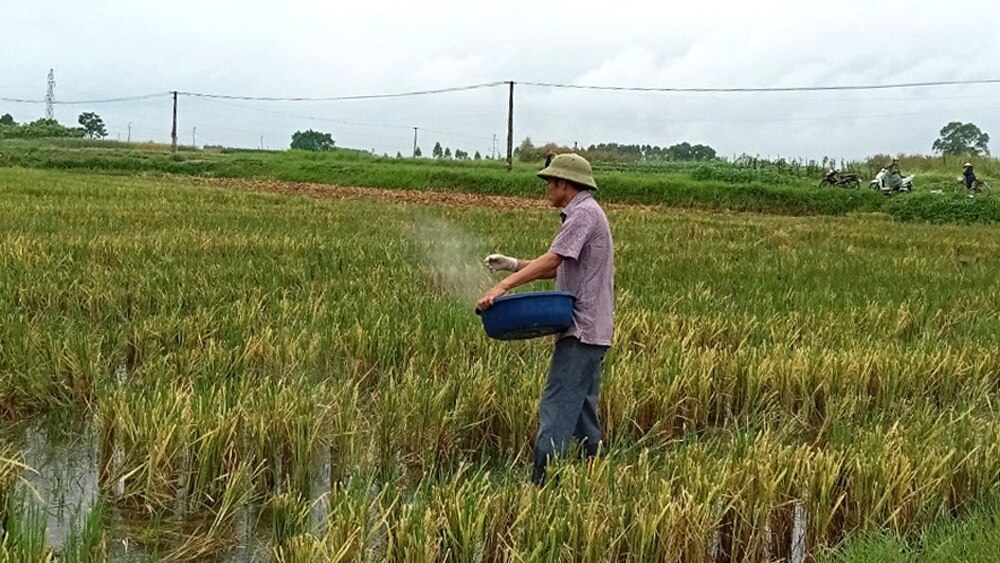 tin tức bắc giang, phụ phẩm nông nghiệp,  phụ phẩm chất hữu cơ, phế phẩm nông nghiệp, mô hình chăn nuôi, mô hình trồng trọt, vật tư nông nghiệp, bảo vệ môi trường, an toàn thực phẩm