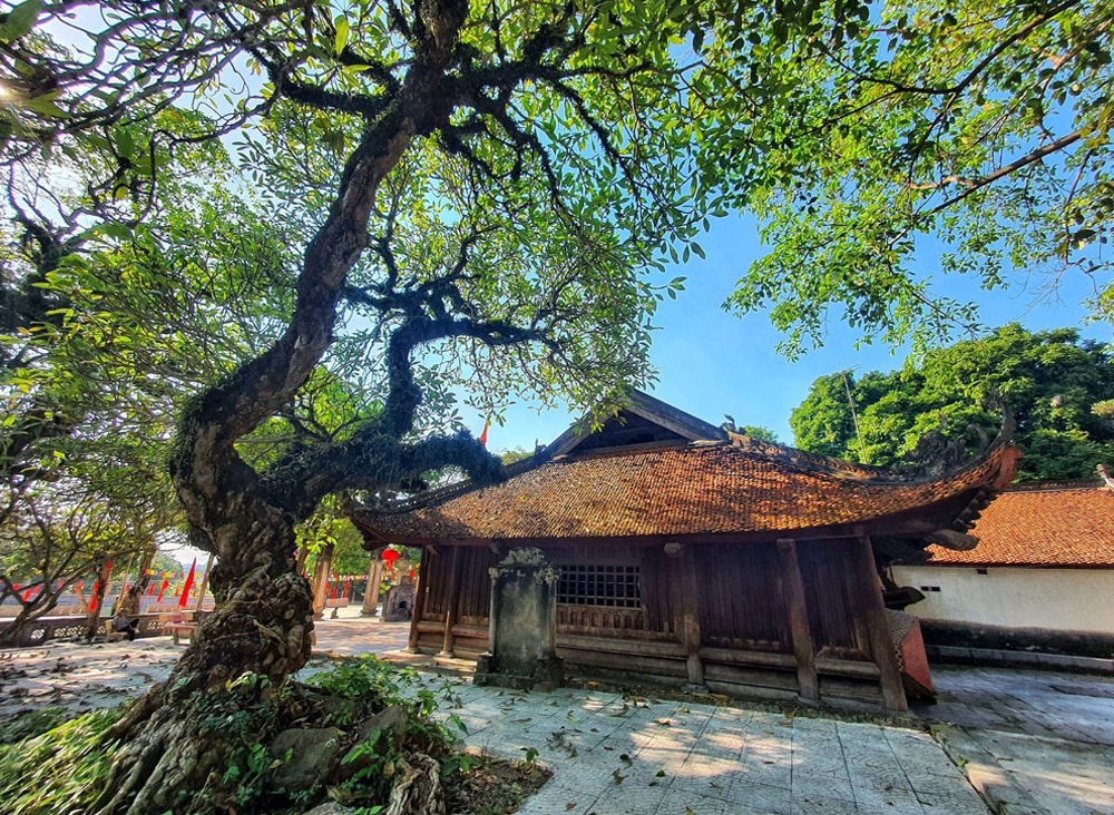 tin tức bắc giang, tỉnh bắc giang, huyện hiệp hòa, quê hương cách mạng, mùa Thu, vùng an toàn khu, cách mạng tháng tám, phong trào cách mạng, truyền thống lịch sử, khởi nghĩa giành chính quyền, nông thôn mới