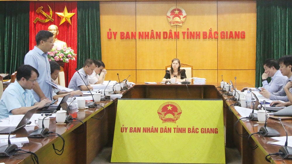 Bắc Giang; HĐND tỉnh; Ban Kinh tế - Ngân sách; thẩm tra; thẩm định, nghị quyết.