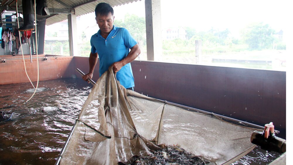 Bắc Giang, Tân yên, giảm nghèo, đào tạo nghề