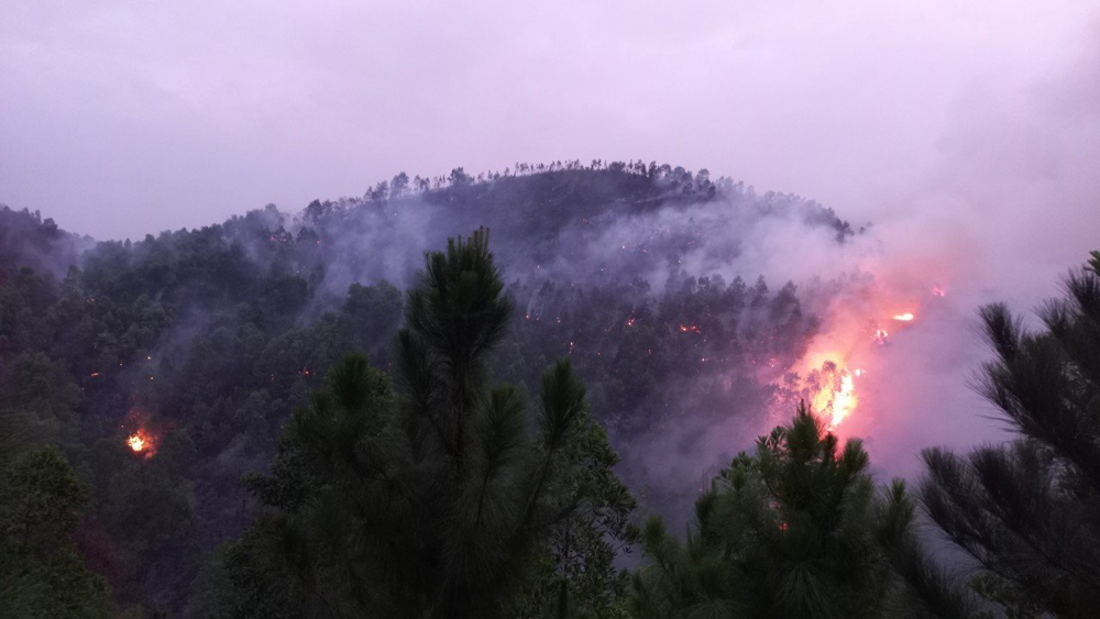 cháy rừng, kiểm lâm, Bắc Giang, rừng