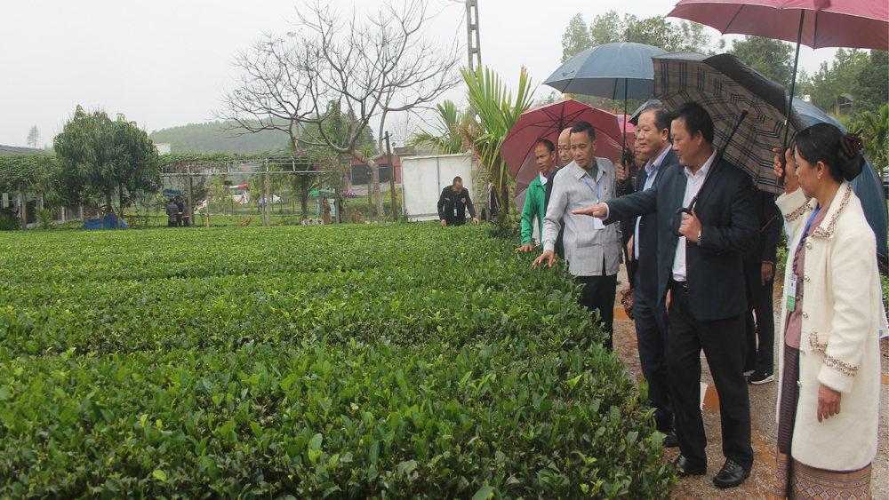 Bắc Giang, Xay Sổm Bun, hỗ trợ