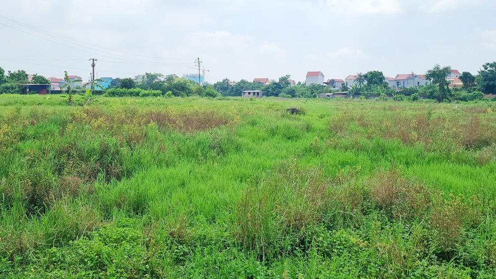 tin tức bắc giang, bắc giang, thị trấn bích động,  huyện việt yên,  giải phóng mặt bằng, thu hút đầu tư, bàn giao mặt bằng,  khu dân cư mới