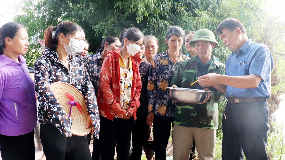 tin tức bắc giang, bắc giang, Tân Yên, Tạo sinh kế, lao động, nông thôn, đào tạo nghề,  học nghề, chuyển đổi nghề,giới thiệu việc làm, sinh kế, nâng cao thu nhập, ổn định cuộc sống