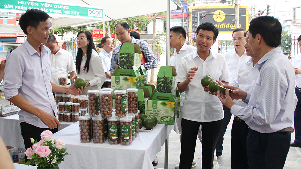 hợp tác xã, liên minh hợp tác xã tỉnh, hội nghị kết nối cung cầu, tiêu thụ sản phẩm, xúc tiến thương mại, bắc giang, tin tức về bắc giang