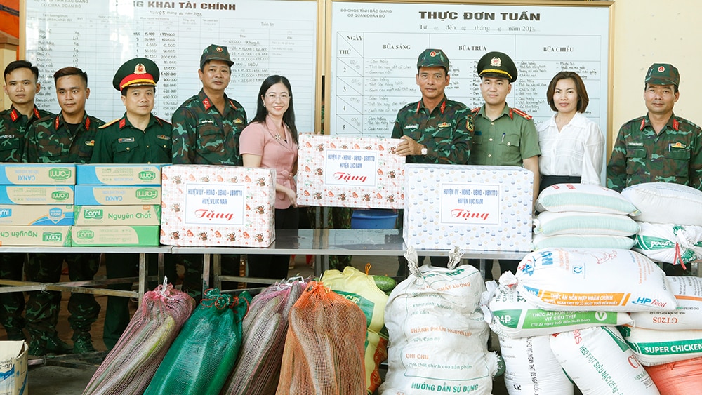 bắc giang, lục nam, lục ngạn, tp bắc giang, diễn tập khu vực phòng thủ, nhu yếu phẩm,