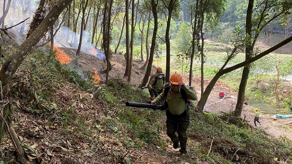 cháy rừng, kiểm lâm, Bắc Giang, rừng, mùa khô, kiểm lâm