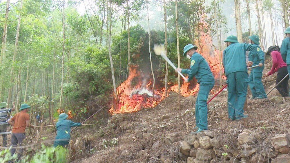 bắc giang, cháy rừng, bảo vệ, phòng tránh, kiểm lâm