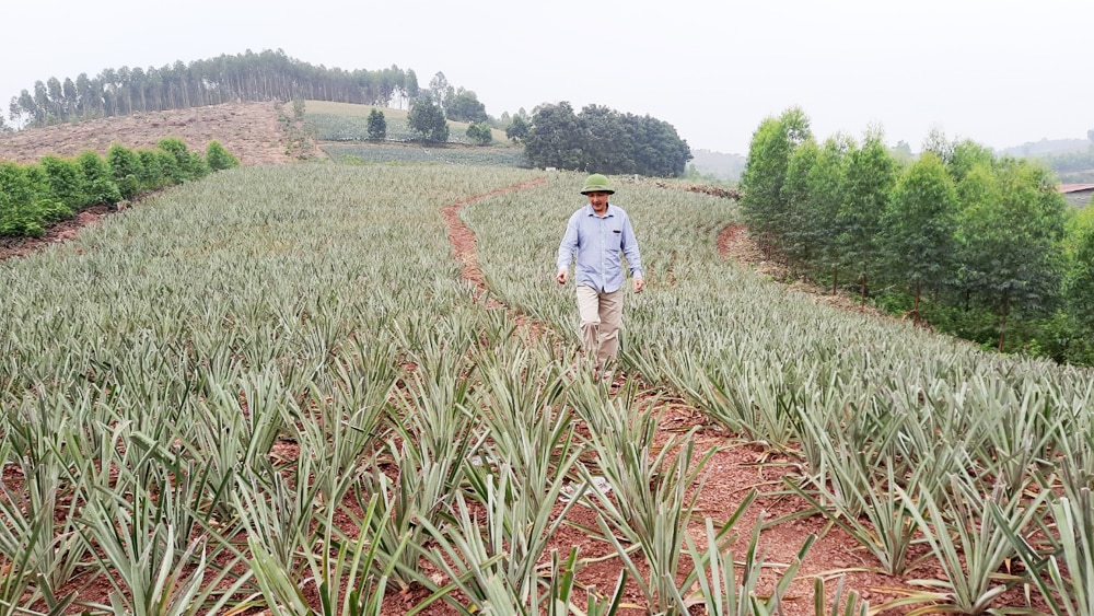 tin tức bắc giang, bắc giang, Nông dân, sáng tạo, thời 4.0, ìm tòi, nghiên cứu, giải pháp, sáng kiến, phục vụ sản xuất, nông nghiệp, tiết kiệm chi phí, giảm sức lao động, nâng cao hiệu quả sản xuất, bảo vệ môi trường