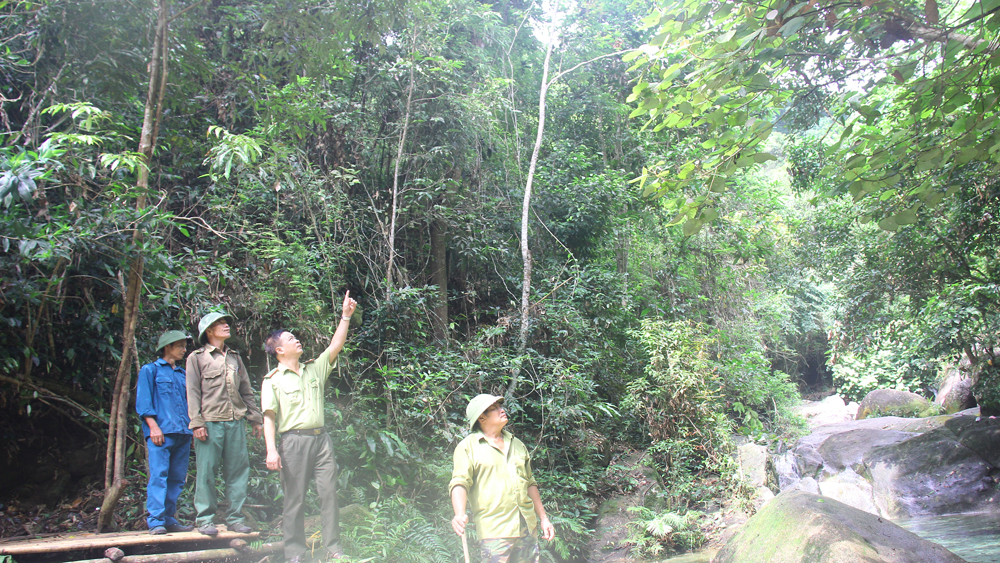 cháy rừng, kiểm lâm, Bắc Giang, rừng, mùa khô, kiểm lâm