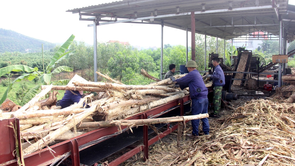 tin tức bắc giang, bắc giang, xuất khẩu sang Mỹ, Thị trường xuất khẩu gỗ, doanh nghiệp phục hồi, sản xuất, chế biến gỗ xuất khẩu, thế giới, nhu cầu tiêu thụ giảm