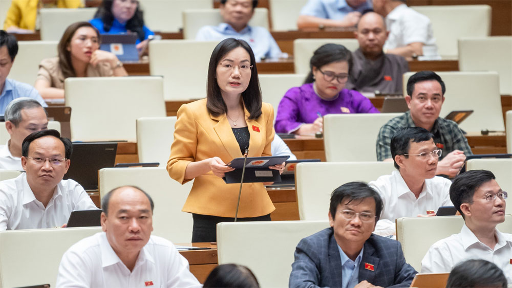 Đại biểu Đỗ Thị Việt Hà, Đoàn Bắc Giang, chất vấn, Bộ trưởng Bộ Tài nguyên và Môi trường