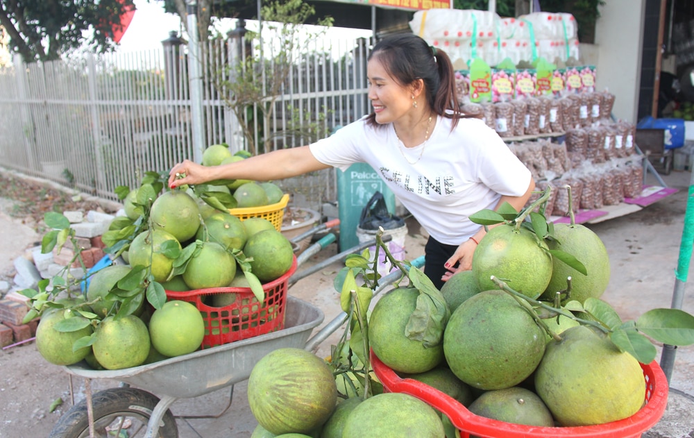 Cam,  bưởi, cây có múi, Lục  Ngạn, Bắc Giang, du lịch, đưa chợ về vườn