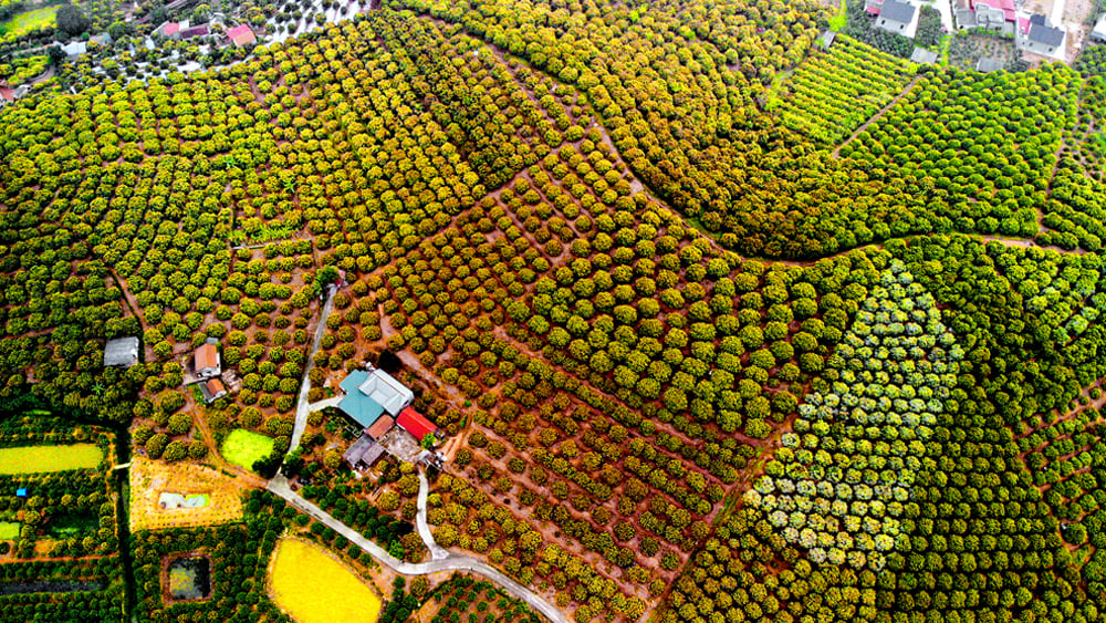 bắc giang, trao giải, cuộc thi ảnh, nét đẹp bắc giang