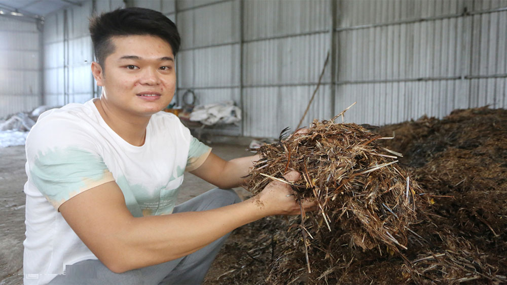 Khởi nghiệp, phân bón từ lông gà, anh Nguyễn Hà Thiên