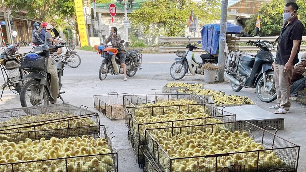 tin tức bắc giang, tỉnh bắc giang, kinh doanh hàng giả, hàng kém chất lượng, đấu tranh chống buôn lậu, gian lận thương mại, hàng giả, cuối năm 2023