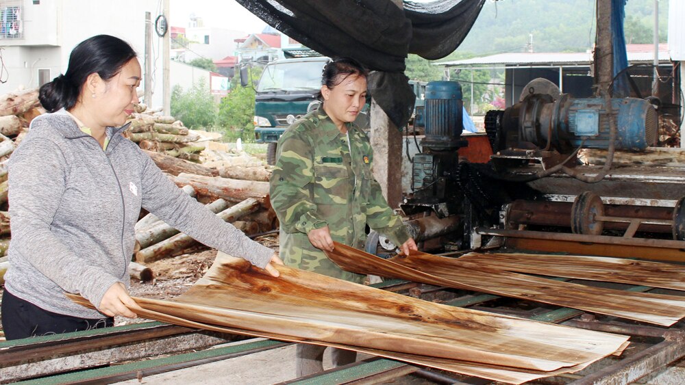 tin tức bắc giang, bắc giang, huyện Yên Thế, Phát triển rừng gỗ lớn, công nghệ chế biến, diện tích rừng, đất lâm nghiệp lớn, Thêm việc làm, tăng thu nhập từ rừng