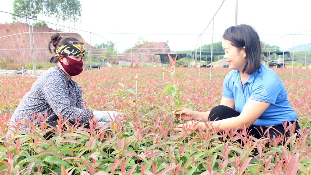 tin tức bắc giang, bắc giang,  Hội Liên hiệp Phụ nữ, việc làm, thu nhập, phụ nữ vùng cao, đào tạo nghề, giới thiệu việc làm, khởi nghiệp, lập nghiệp.