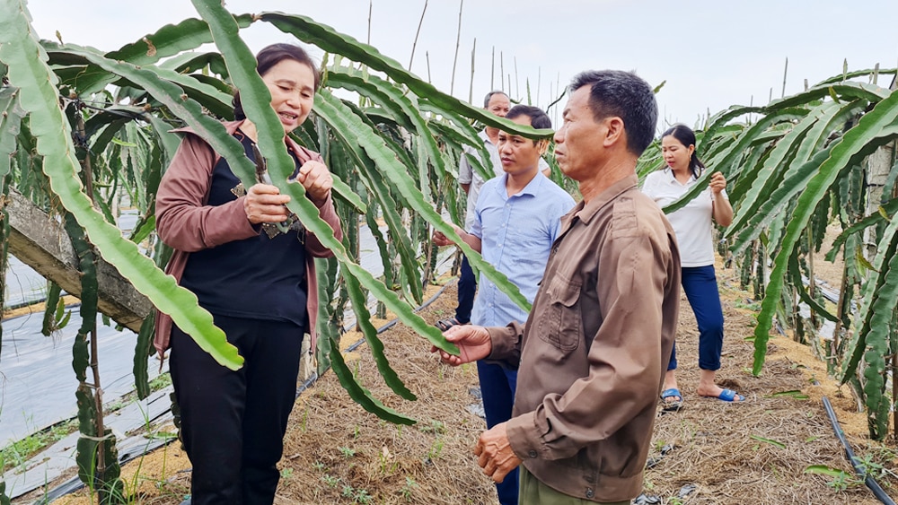 tin tức bắc giang, bắc giang, Thực hiện, Chỉ thị số 05,  Lục Nam, Xây dựng điển hình, Huyện ủy Lục Nam, phong cách Hồ Chí Minh, phát triển kinh tế, xây dựng đời sống văn hóa.