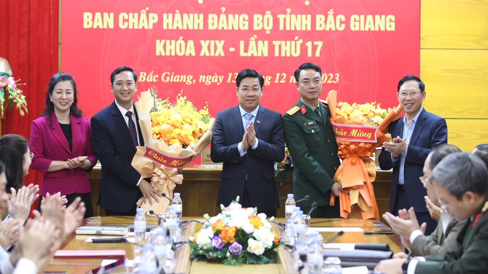 Ban Chấp hành, Đảng bộ, tỉnh Bắc Giang, bầu bổ sung, Ủy viên, Ban Thường vụ, Tỉnh ủy