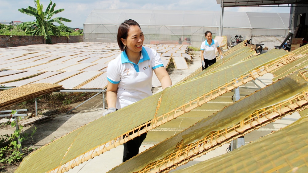 tin tức bắc giang, bắc giang, xúc tiến thương mại, kết nối giao thương sản phẩm, hợp tác xã, chủ động, nguồn hàng đón Tết,  thị trường Tết, tiêu thụ hàng hóa, giá bán ổn định