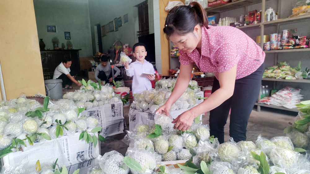 tin tức bắc giang, bắc giang, tỷ lệ hộ nghèo giảm, đời sống người dân, Giảm nghèo, thay đổi tập quán  sản xuất,  phát triển kinh tế, đời sống người dân