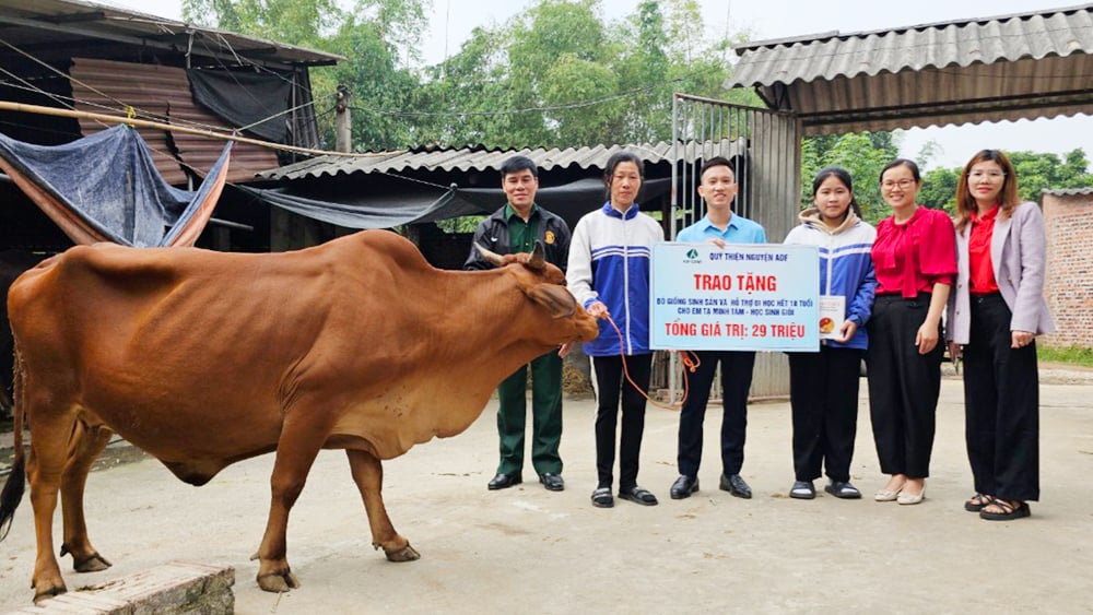 tin tức bắc giang, bắc giang, xã Hợp Đức, Tân Yên, Kiến trúc sư, thiện nguyện, Anh hùng liệt sĩ, Tết vì người nghèo, Đại học Kiến trúc Hà Nội