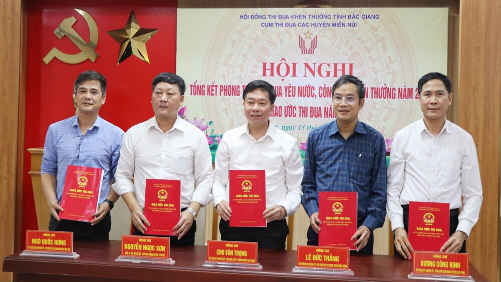 thi đua, khối thi đua, huyện miền núi, Bắc Giang, Lục Ngạn, phong trào thi đua,