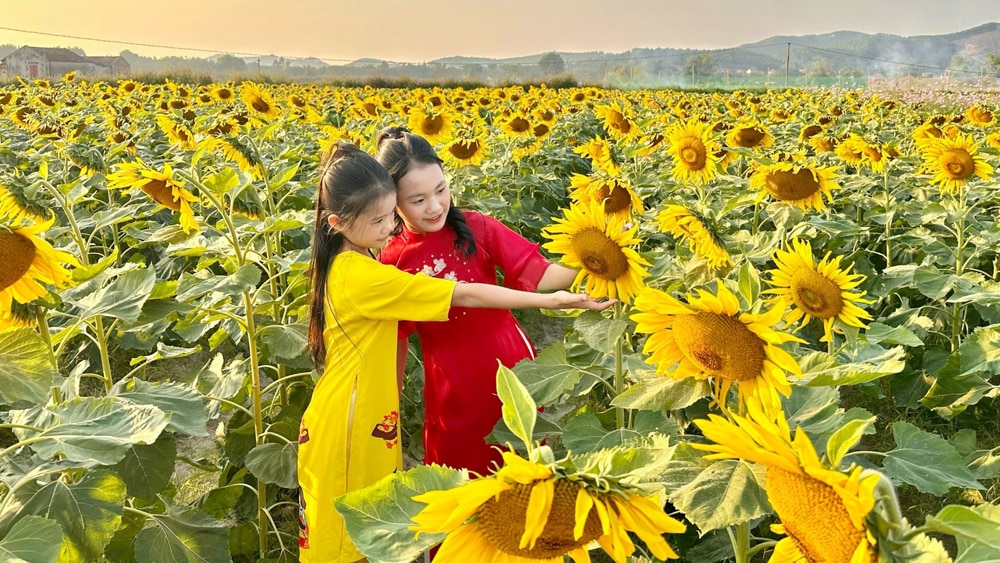 tin tức bắc giang, bắc giang, Kỳ nghỉ Tết, Dương lịch, điểm du lịch hút khách, ngoại tỉnh, du lịch sinh thái, cộng đồng, trung tâm vui chơi, mua sắm,Lạng Sơn, Hà Nội, Bắc Ninh, Hải Dương, Quảng Ninh