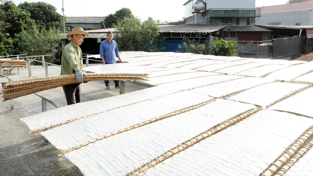 tin tức bắc giang, bắc giang, Làng mỳ Thủ Dương, huyện Lục Ngạn, tỉnh Bắc Giang, mùa Tết, nguyên liệu sản xuất, kho chứa mỳ,  thương hiệu làng nghề