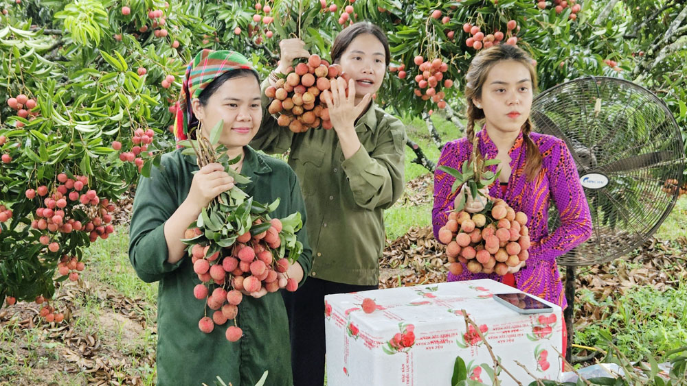 Làng số, Bắc Giang, thông tin, truyền thông,