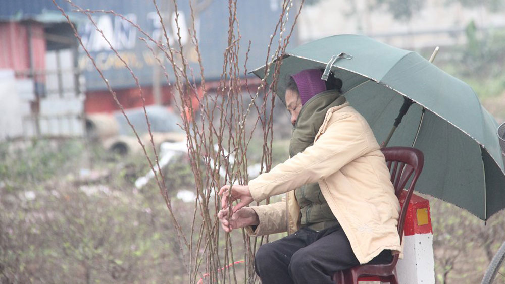 mưu sinh, giá rét, bắc giang, rét đậm, rét hại