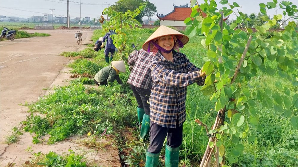 tin tức bắc giang, bắc giang, Chung sức, làng quê xanh sạch,  môi trường sạch, đẹp, phát triển kinh tế, nông thôn  mới, rác thải, lá cây, cỏ dại