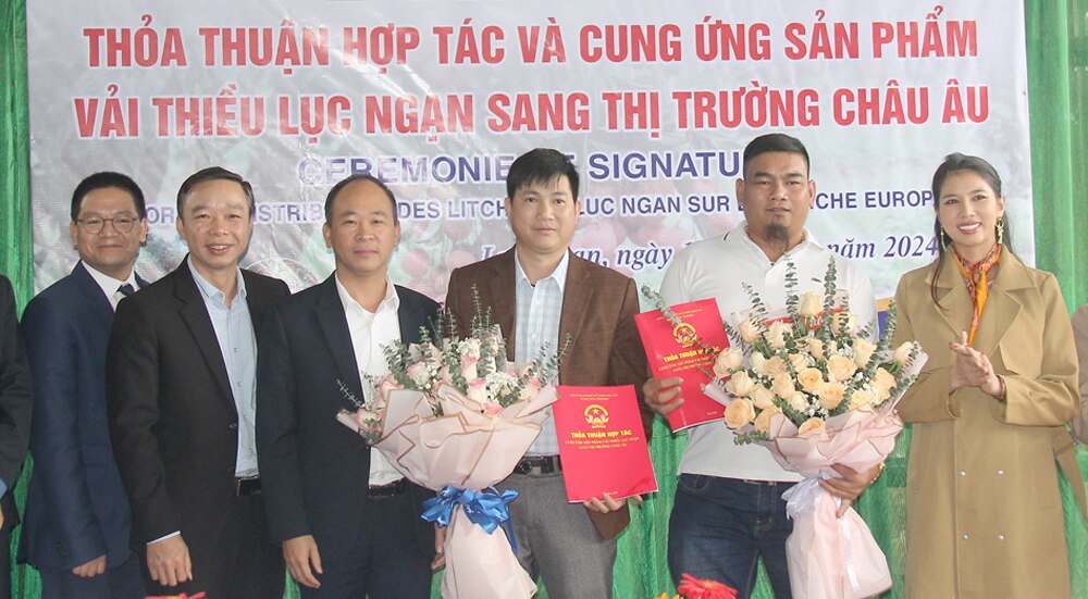 vải thiều, Bắc Giang, Lục Ngạn, Thanh Hải, châu Âu, xuất khẩu, Công ty TNHH Một thành viên Group Lafayette Sante Vietnam.