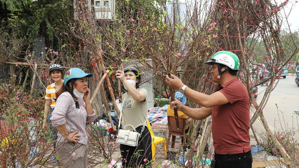 Bắc Giang, hoa, cây cảnh Tết, sức mua giảm, xuân giáp thìn, hàng tết, hoa xuân