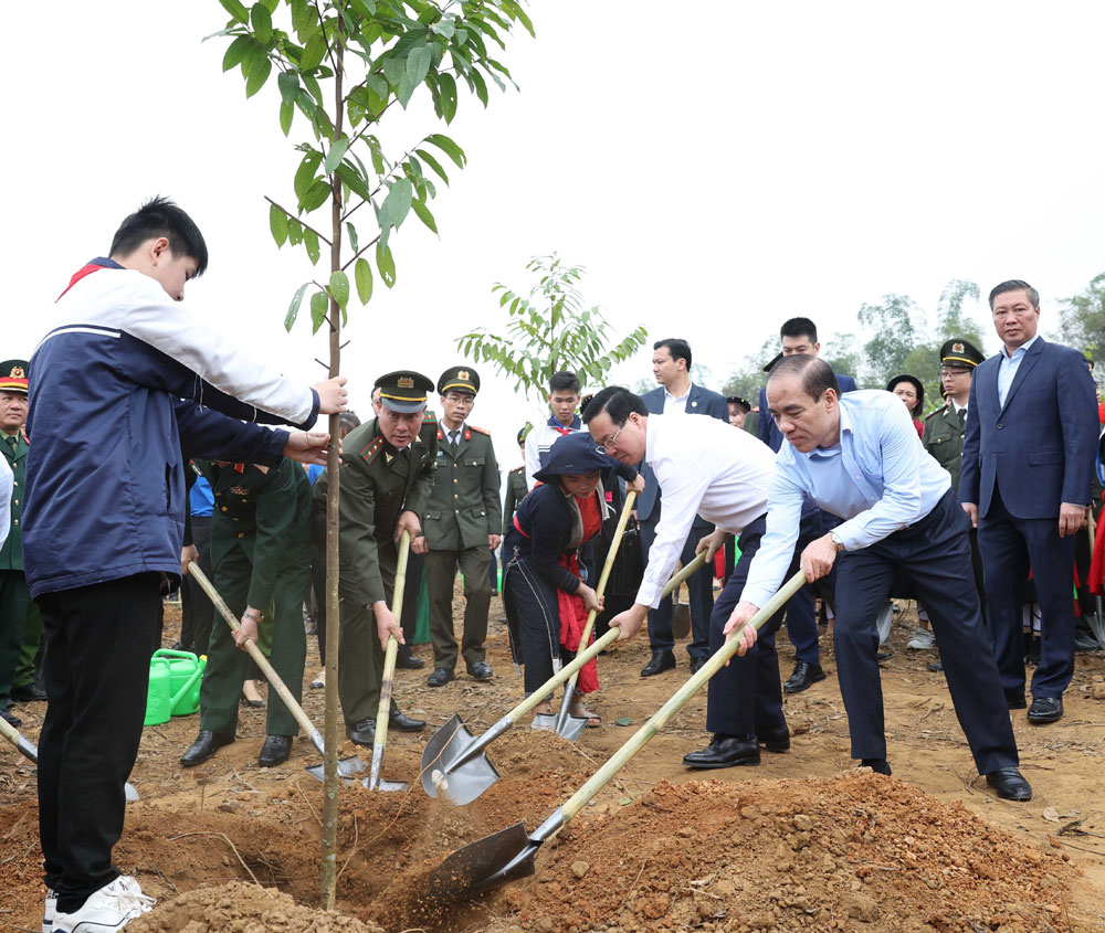 Chủ tịch nước Võ Văn Thưởng, phát động Tết trồng cây,“Đời đời nhớ ơn Bác Hồ”, Xuân Giáp Thìn 2024, Tuyên Quang