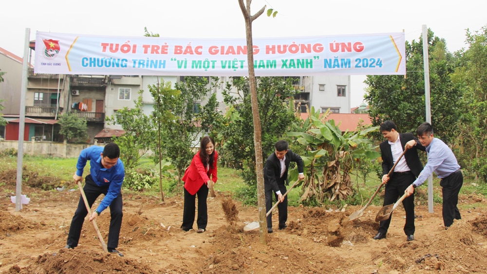 tin tức bắc giang, tỉnh đoàn, tuổi trẻ, tết trồng cây, tháng thanh niên