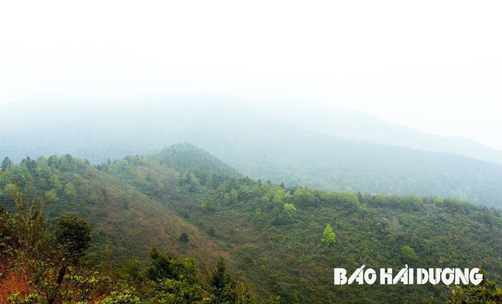 Ngũ Đài sơn,  Phật giáo Trúc Lâm,   Chùa Ngũ Đài,   Côn Sơn   Kiếp Bạc,   Chốn tổ linh thiêng,   Chí Linh,   Yên Tử,   Tây Yên Tử, Vĩnh Nghiêm,   Hải Dương,   Di sản thế giới