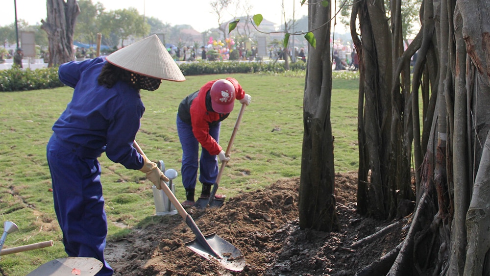 tin tức bắc giang, tỉnh bắc giang, Bắc Giang, lễ phát động, phong trào trồng cây, trồng rừng, phát động, Tết trồng cây đời đời nhớ ơn Bác Hồ, dịp Xuân Giáp Thìn, năm 2024