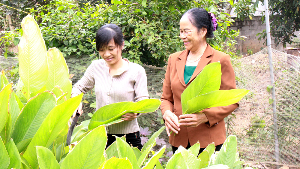 tin tức bắc giang, tỉnh bắc giang, Hướng về nguồn cội, nước ngoài, về quê ăn Tết, cung bậc cảm xúc, hướng về nguồn cội, dịp sum họp đoàn viên